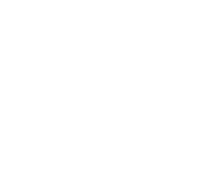 Primary Raster logo